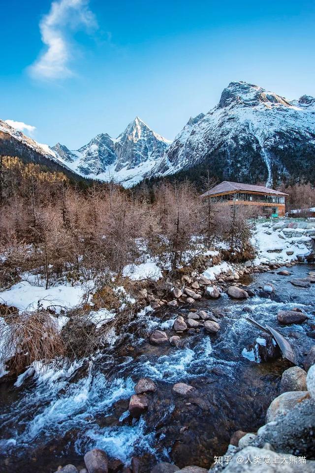小红帽的冒险之旅